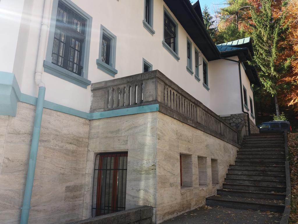 Hotel Tantzi Sinaia Eksteriør bilde